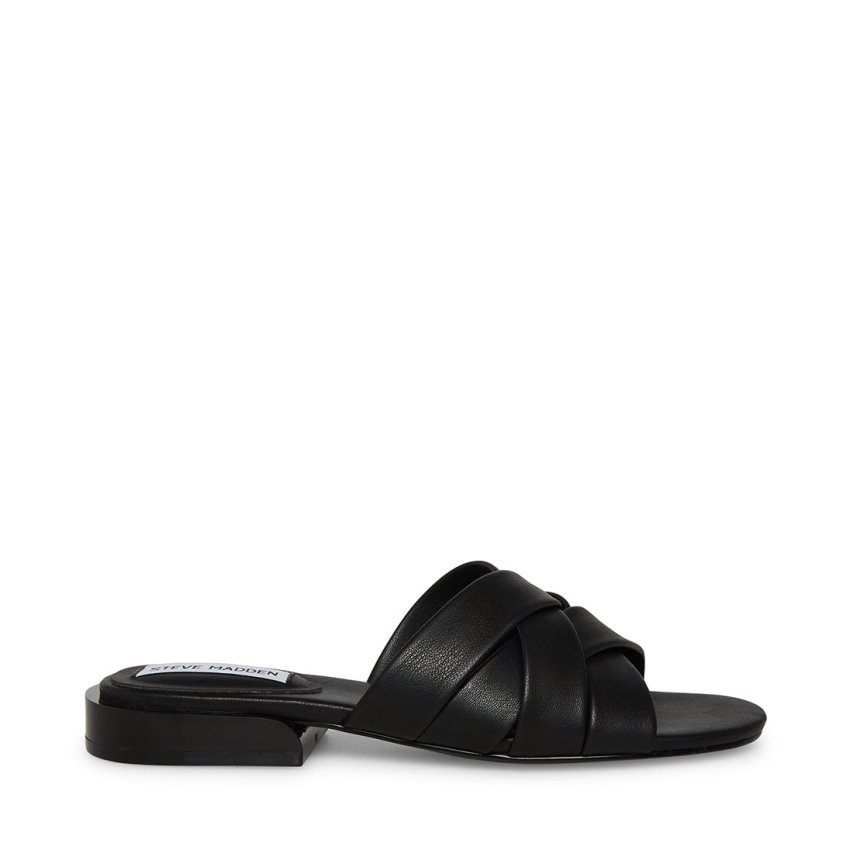 Black Steve Madden Kessy Women's Mules | PH 1067NQV